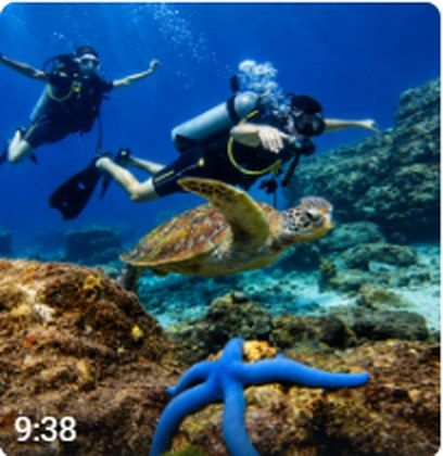 Snorkel & dive